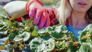 Skatteavdrag för skolungdomar och studerande