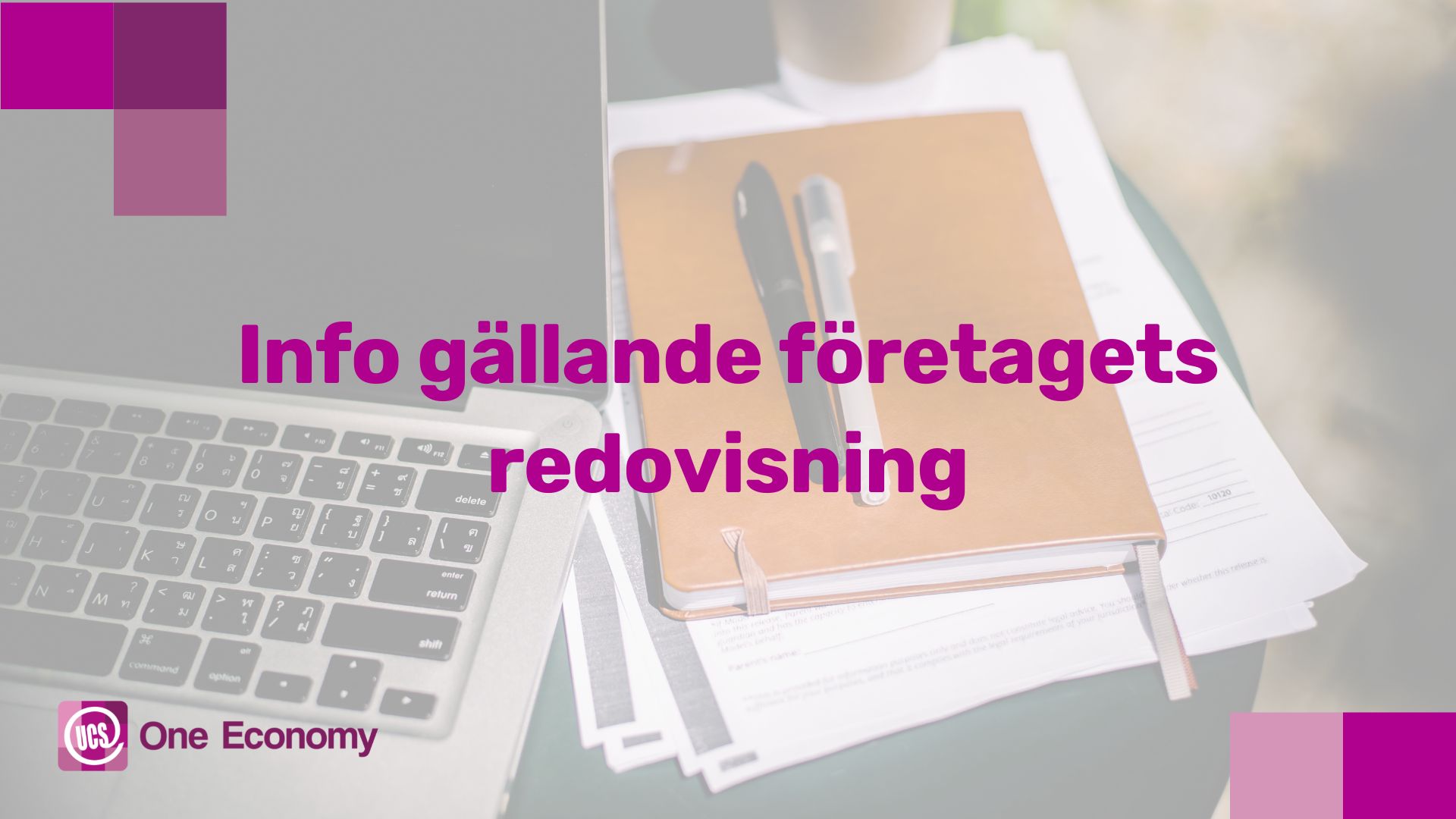 Företagets redovisning